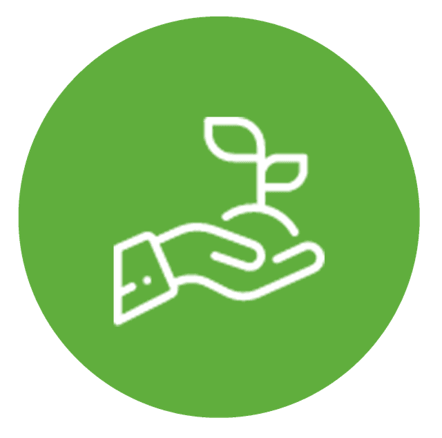 Growing plant